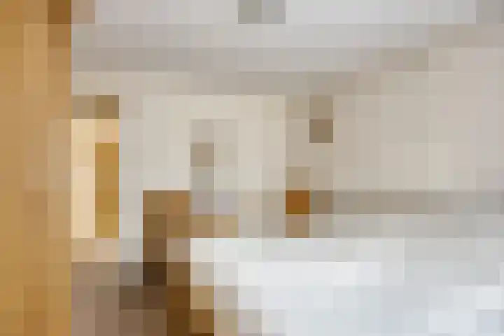de Pagenberg 5 Heerde thumbnail 17