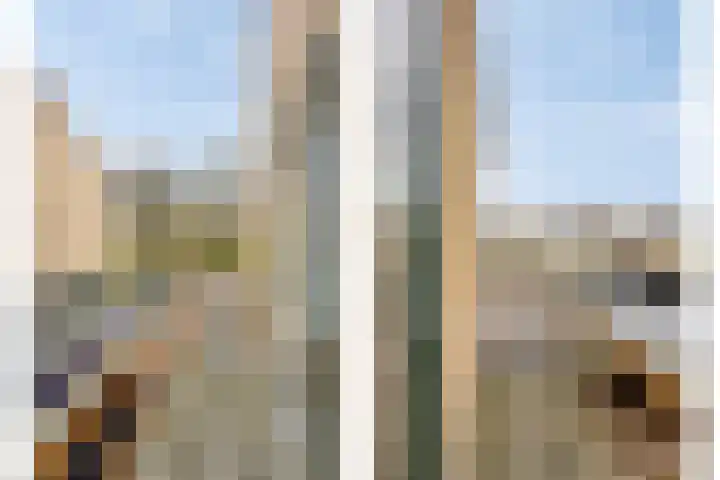 de Pagenberg 5 Heerde thumbnail 22