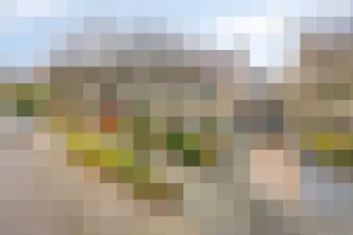 de Pagenberg 5 Heerde thumbnail 31