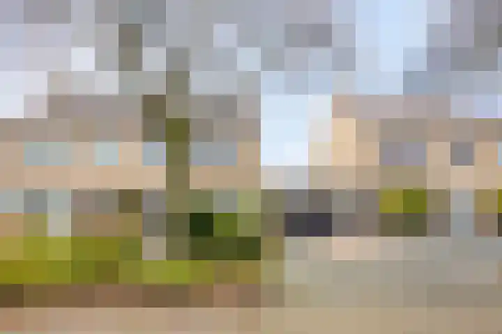 de Pagenberg 5 Heerde thumbnail 32