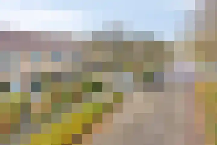 de Pagenberg 5 Heerde thumbnail 33