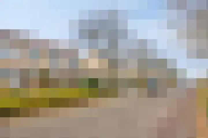 de Pagenberg 5 Heerde thumbnail 34