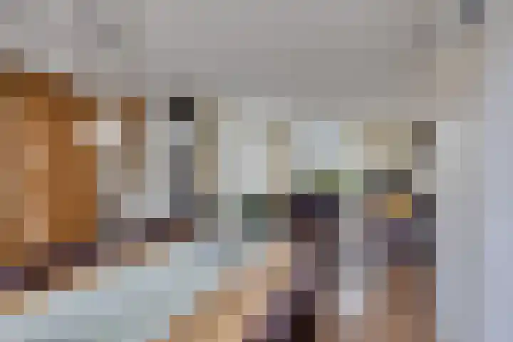 de Pagenberg 5 Heerde thumbnail 8