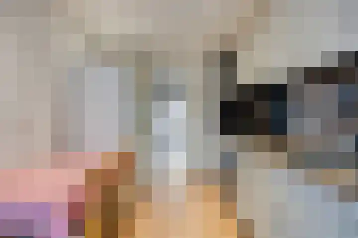 de Pagenberg 5 Heerde thumbnail 9