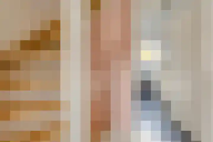 de Pal 44 Epe thumbnail 12