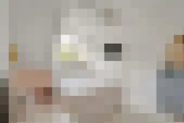 de Pal 44 Epe thumbnail 15