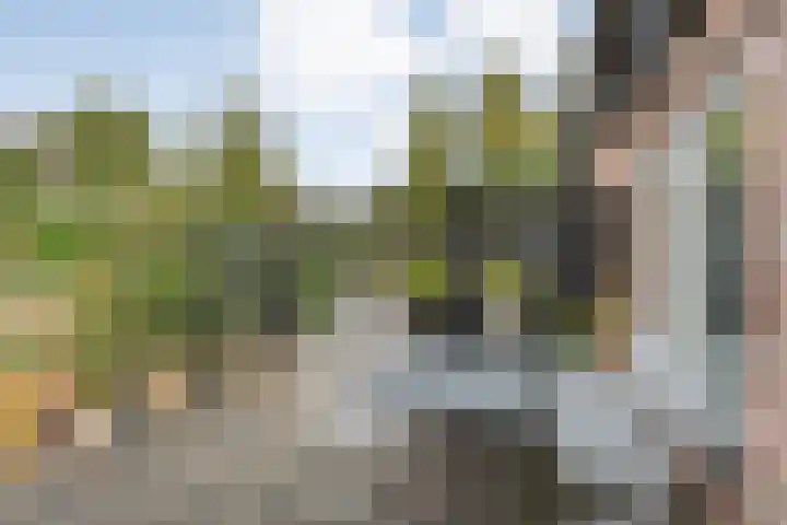 de Pal 44 Epe thumbnail 22