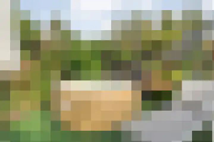 de Pal 44 Epe thumbnail 24