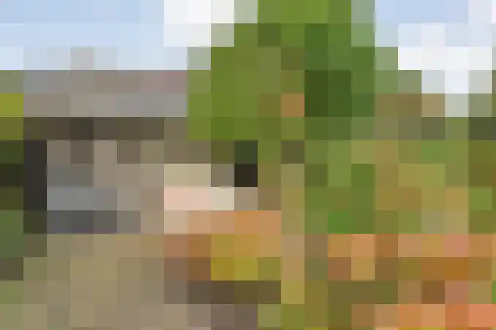 de Pal 44 Epe thumbnail 25
