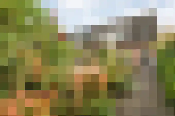 de Pal 44 Epe thumbnail 26
