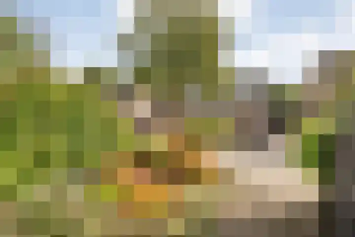 de Pal 44 Epe thumbnail 27