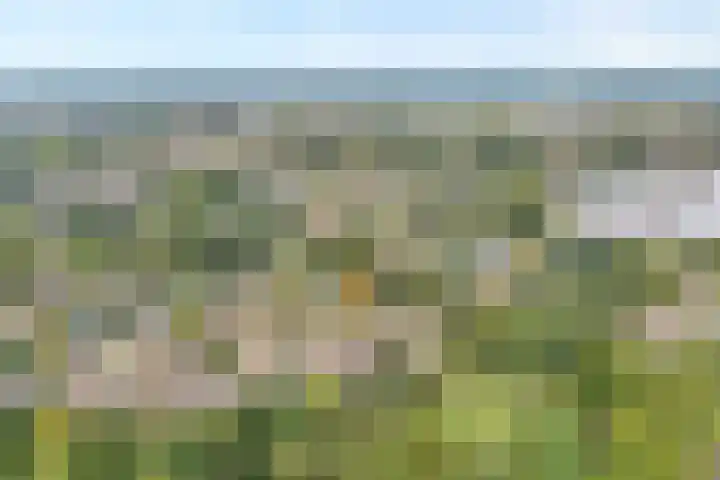 de Pal 44 Epe thumbnail 28
