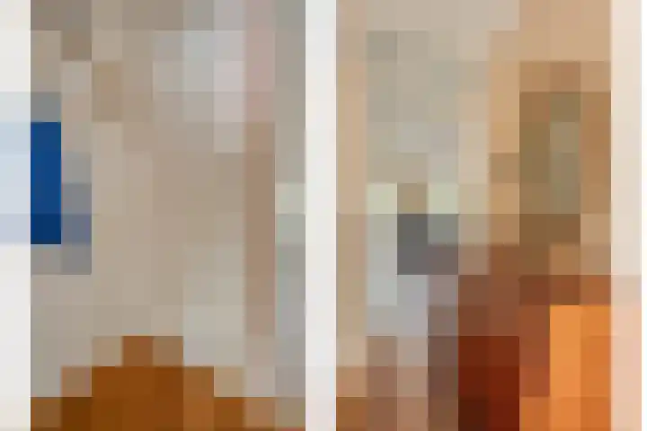de Pal 44 Epe thumbnail 7