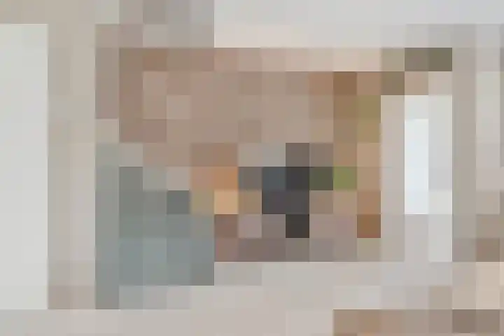 De Palmboomstraat 17 Westzaan thumbnail 10