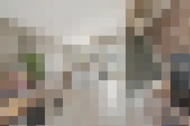 De Palmboomstraat 17 Westzaan thumbnail 11