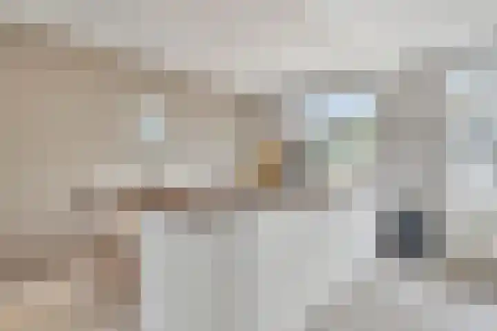 De Palmboomstraat 17 Westzaan thumbnail 12