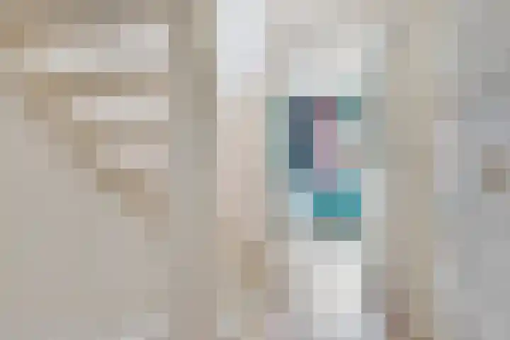 De Palmboomstraat 17 Westzaan thumbnail 15