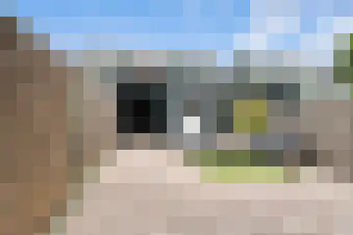 De Palmboomstraat 17 Westzaan thumbnail 30