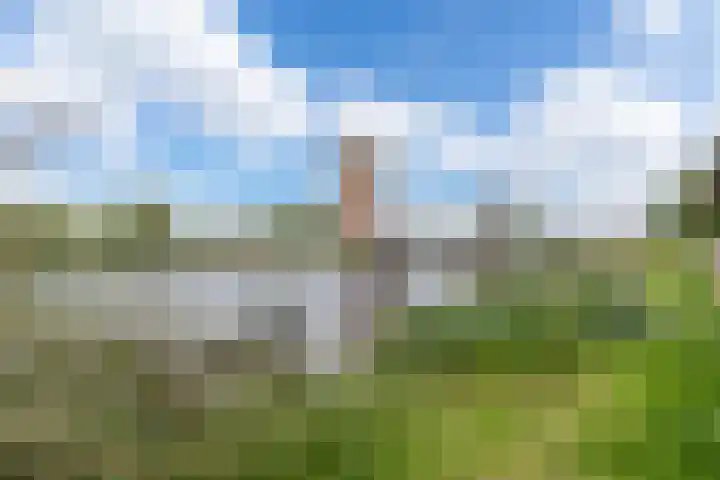 De Palmboomstraat 17 Westzaan thumbnail 32