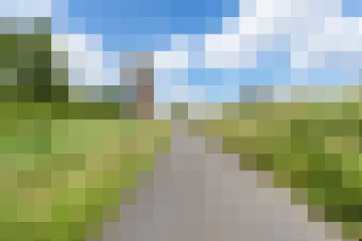 De Palmboomstraat 17 Westzaan thumbnail 33