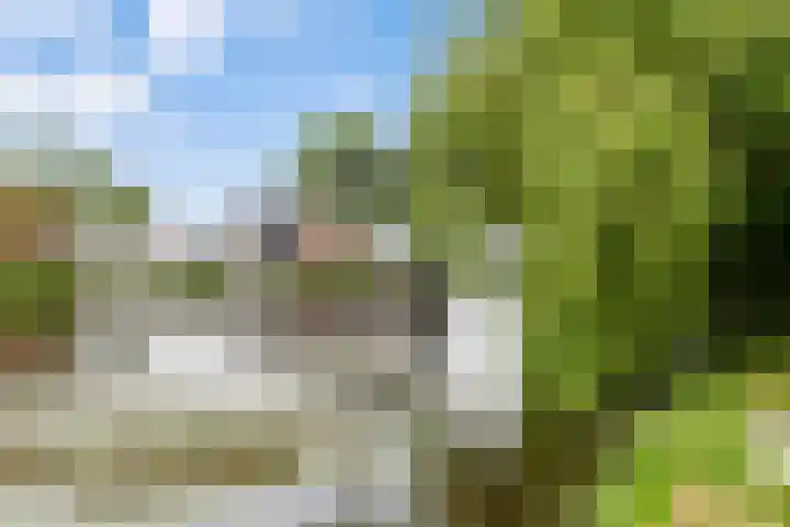 De Palmboomstraat 17 Westzaan thumbnail 37