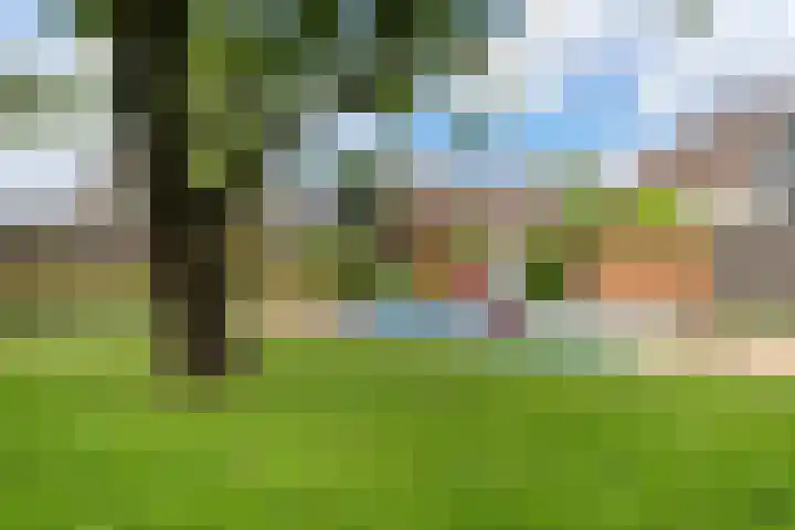 De Palmboomstraat 17 Westzaan thumbnail 38
