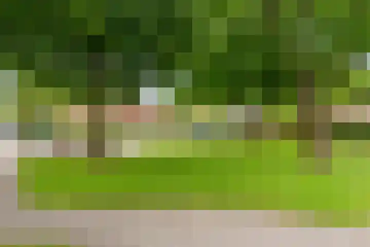 De Palmboomstraat 17 Westzaan thumbnail 39