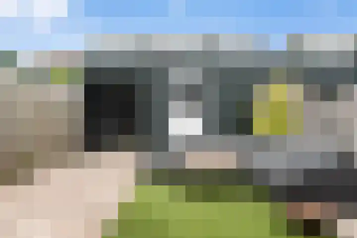 De Palmboomstraat 17 Westzaan thumbnail 4