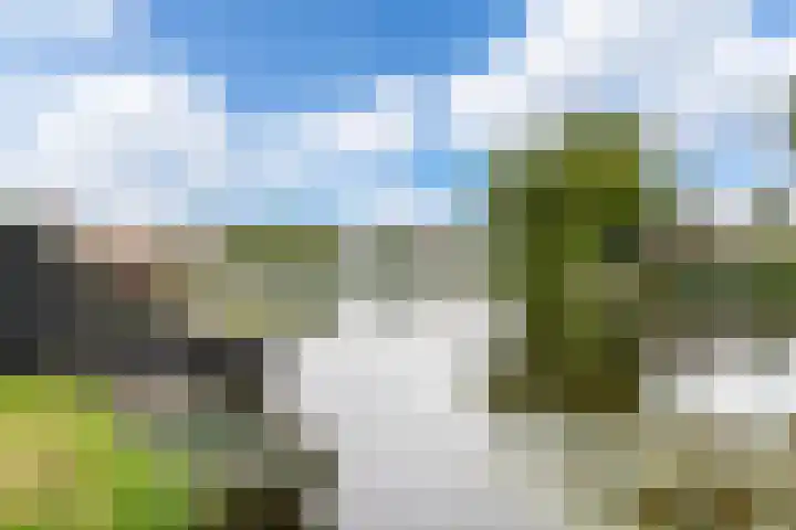 De Palmboomstraat 17 Westzaan thumbnail 5