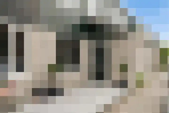 De Palmboomstraat 17 Westzaan thumbnail 6