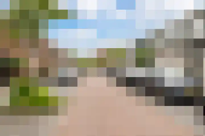 De Palmboomstraat 17 Westzaan thumbnail 7