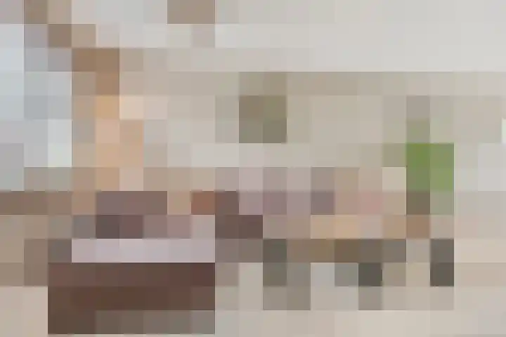 De Palmboomstraat 17 Westzaan thumbnail 8