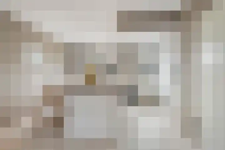 De Palmboomstraat 17 Westzaan thumbnail 9