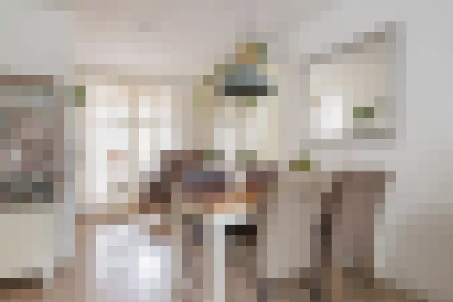 De Palmboomstraat 29 Westzaan thumbnail 12