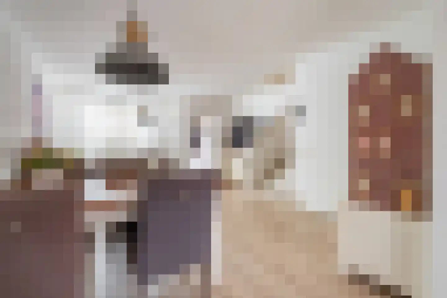 De Palmboomstraat 29 Westzaan thumbnail 13