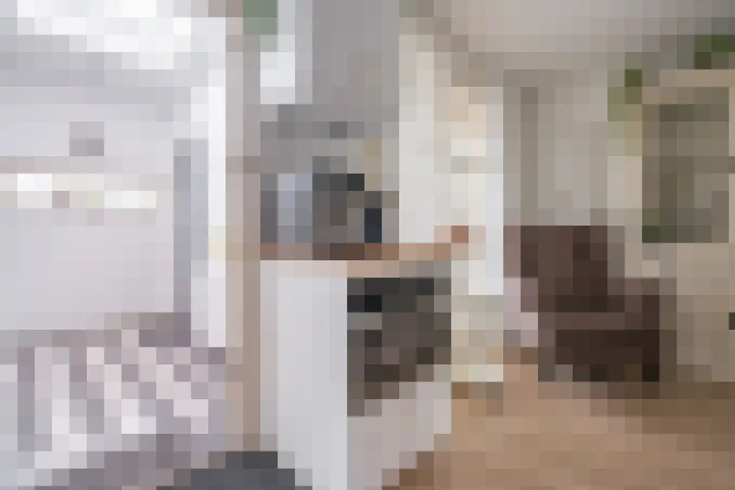 De Palmboomstraat 29 Westzaan thumbnail 14