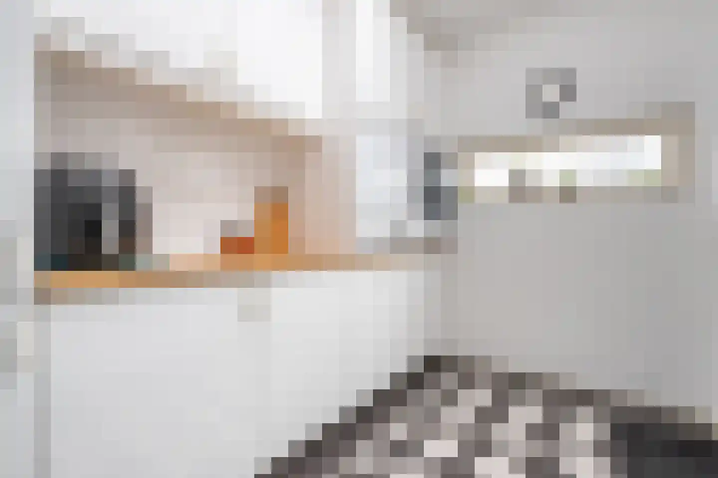 De Palmboomstraat 29 Westzaan thumbnail 16