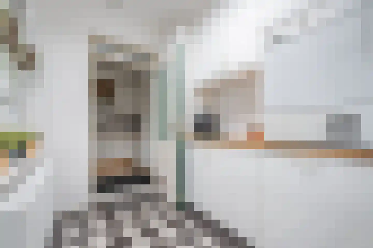 De Palmboomstraat 29 Westzaan thumbnail 17