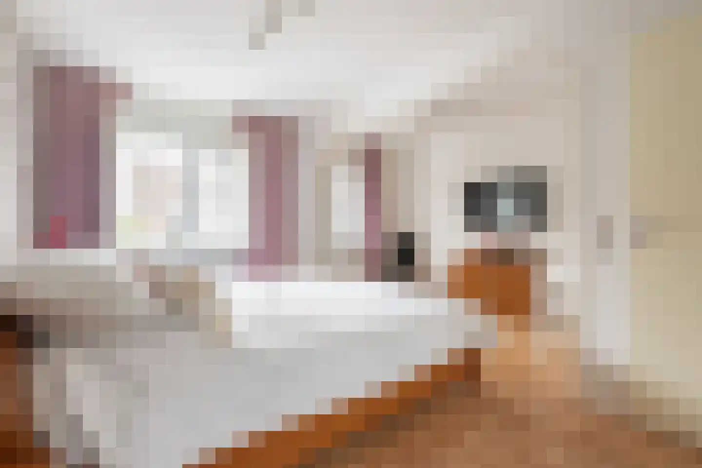 De Palmboomstraat 29 Westzaan thumbnail 20