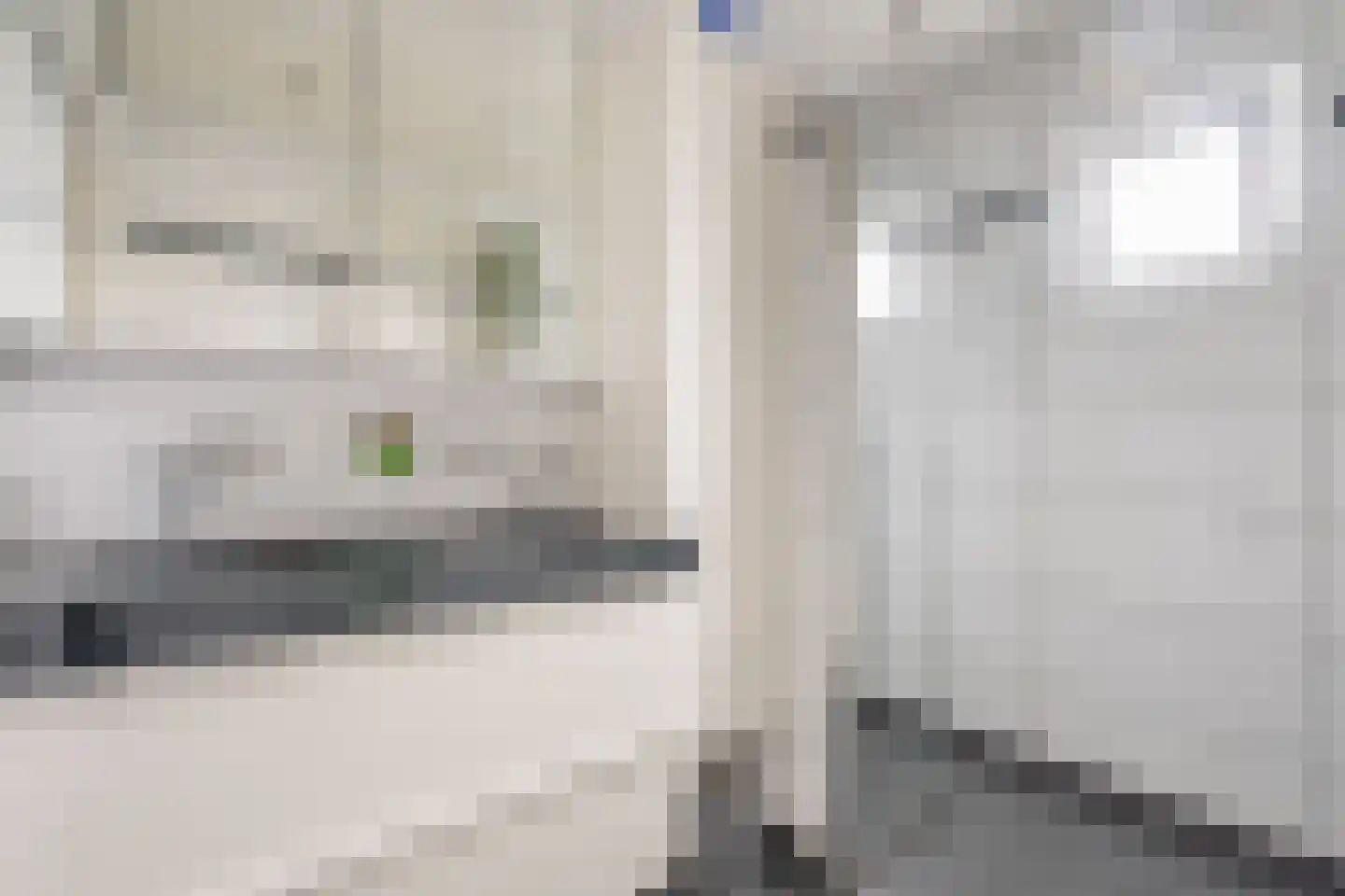 De Palmboomstraat 29 Westzaan thumbnail 26