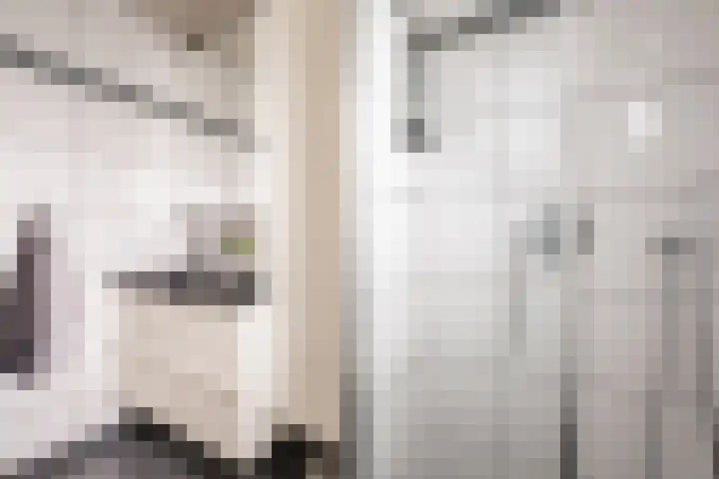 De Palmboomstraat 29 Westzaan thumbnail 27