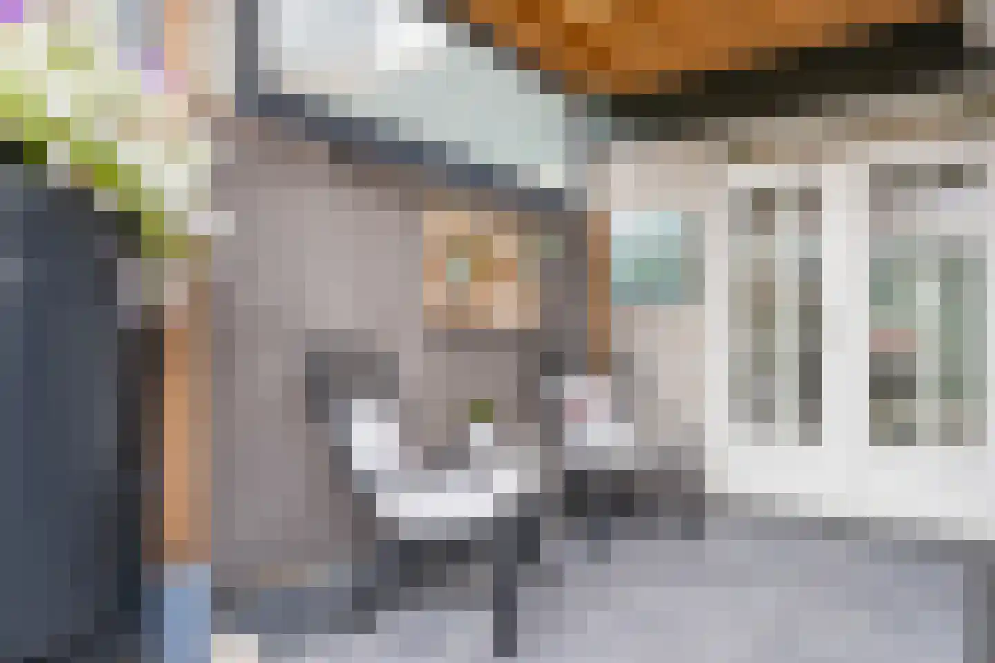 De Palmboomstraat 29 Westzaan thumbnail 34
