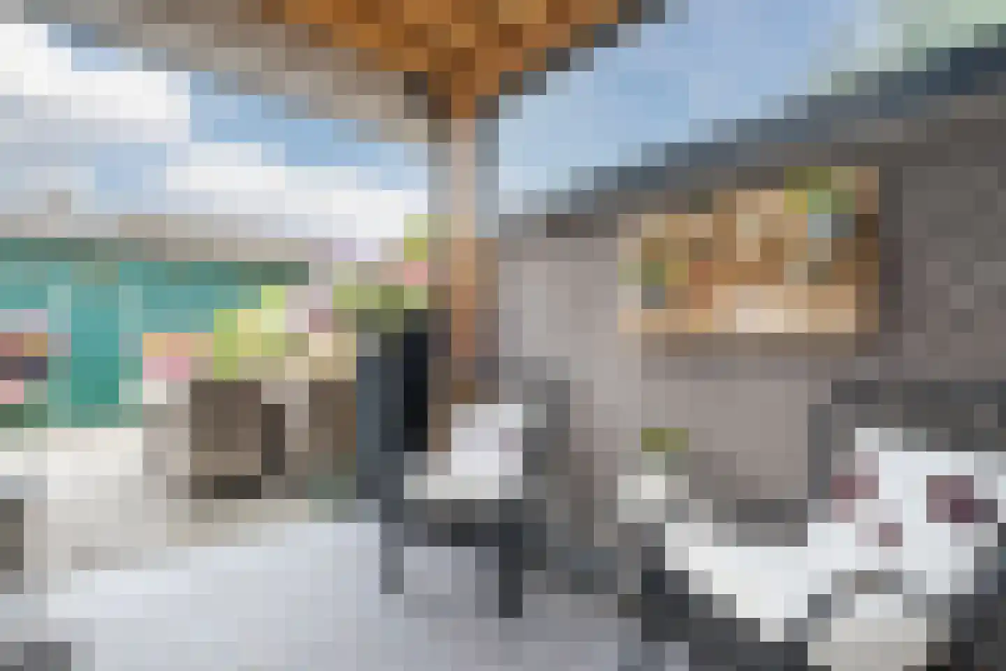 De Palmboomstraat 29 Westzaan thumbnail 35