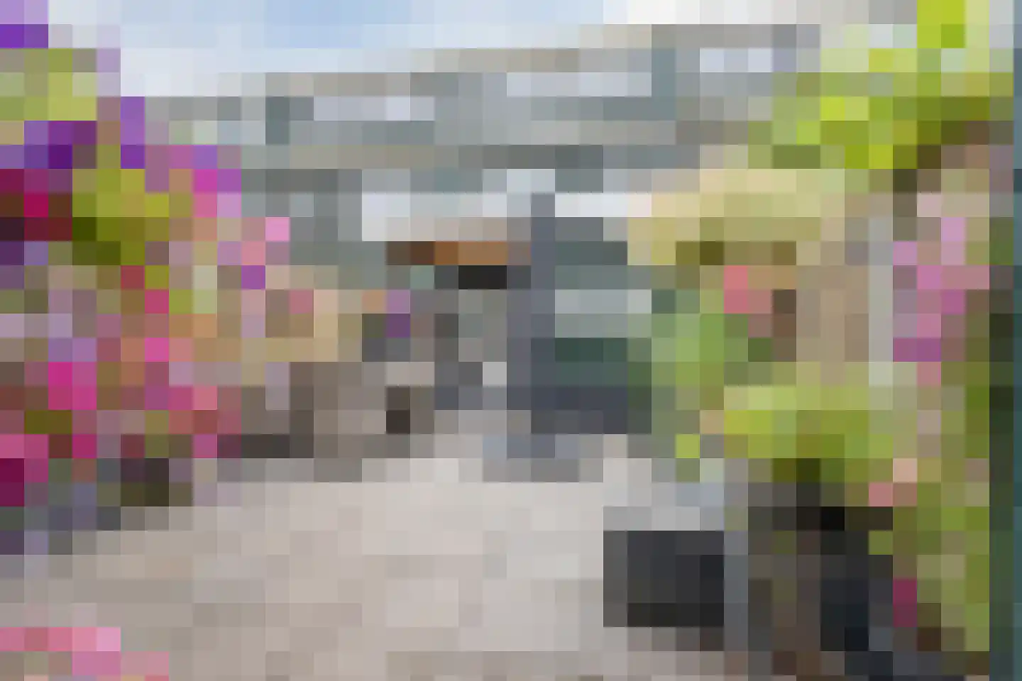 De Palmboomstraat 29 Westzaan thumbnail 37