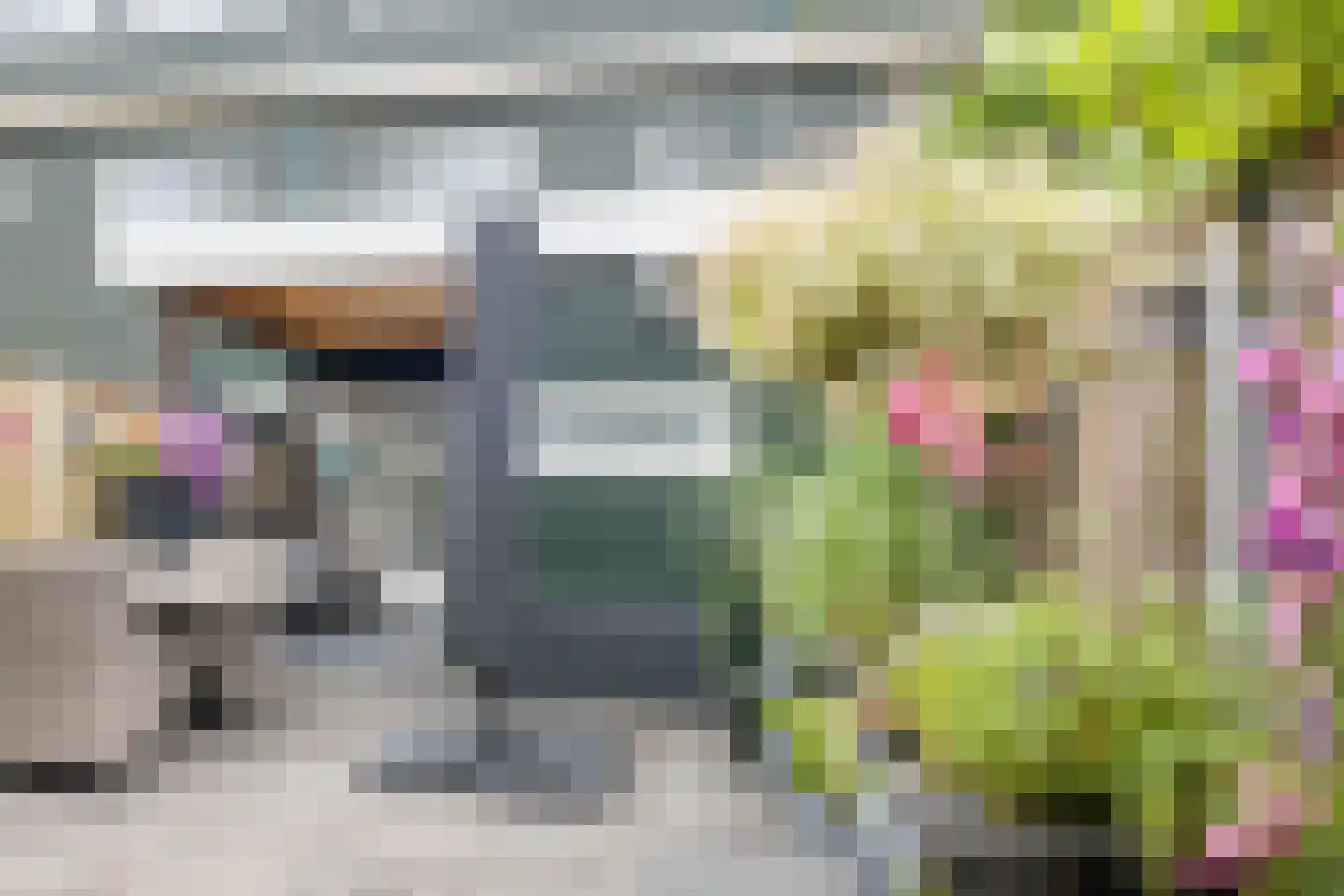 De Palmboomstraat 29 Westzaan thumbnail 38