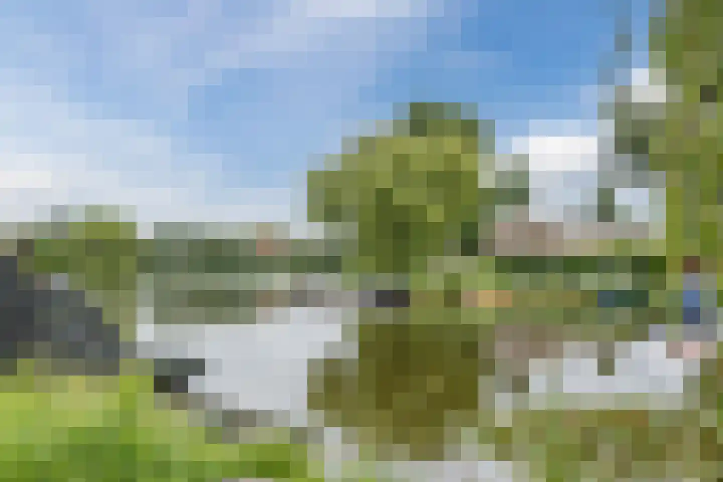 De Palmboomstraat 29 Westzaan thumbnail 42
