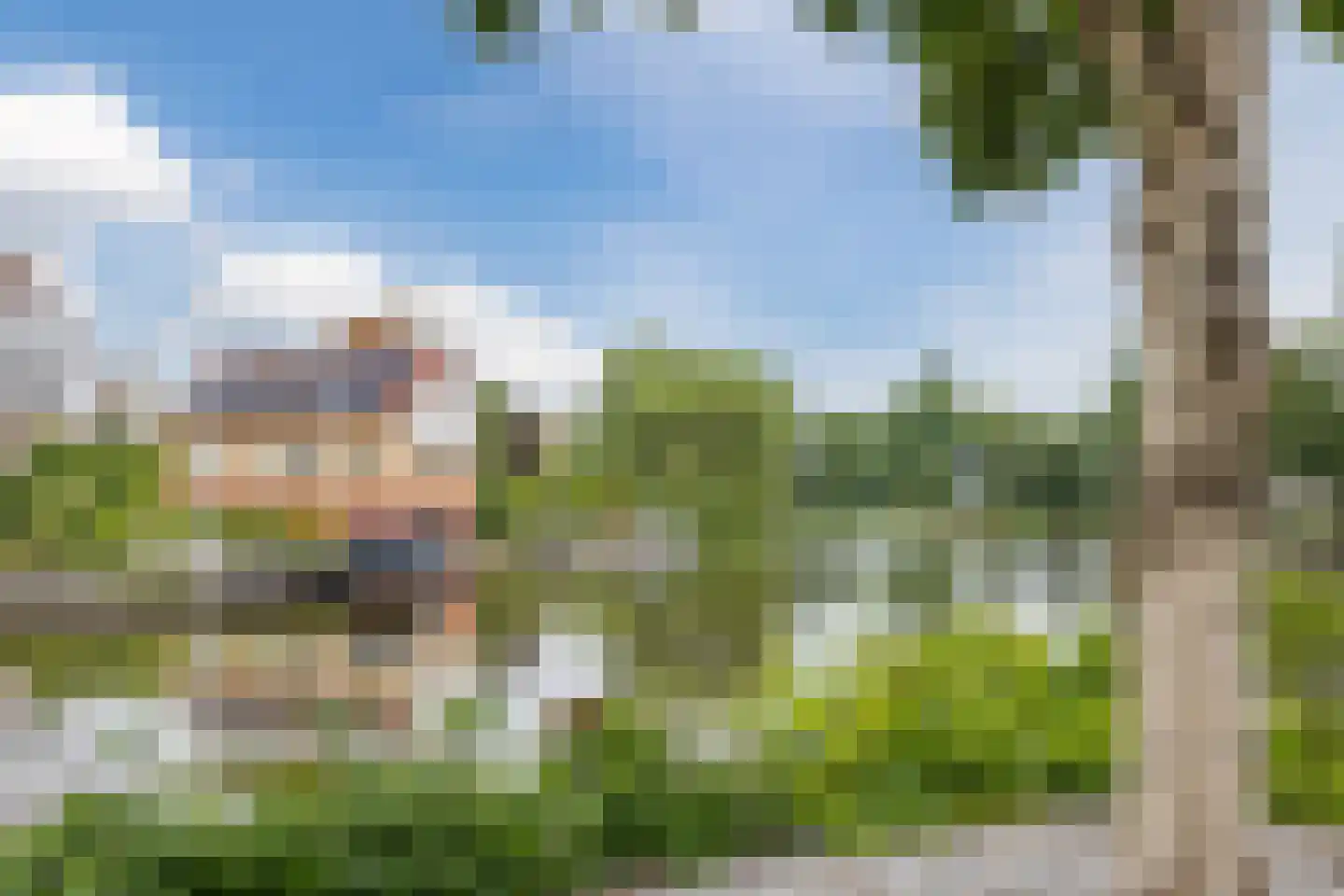 De Palmboomstraat 29 Westzaan thumbnail 43