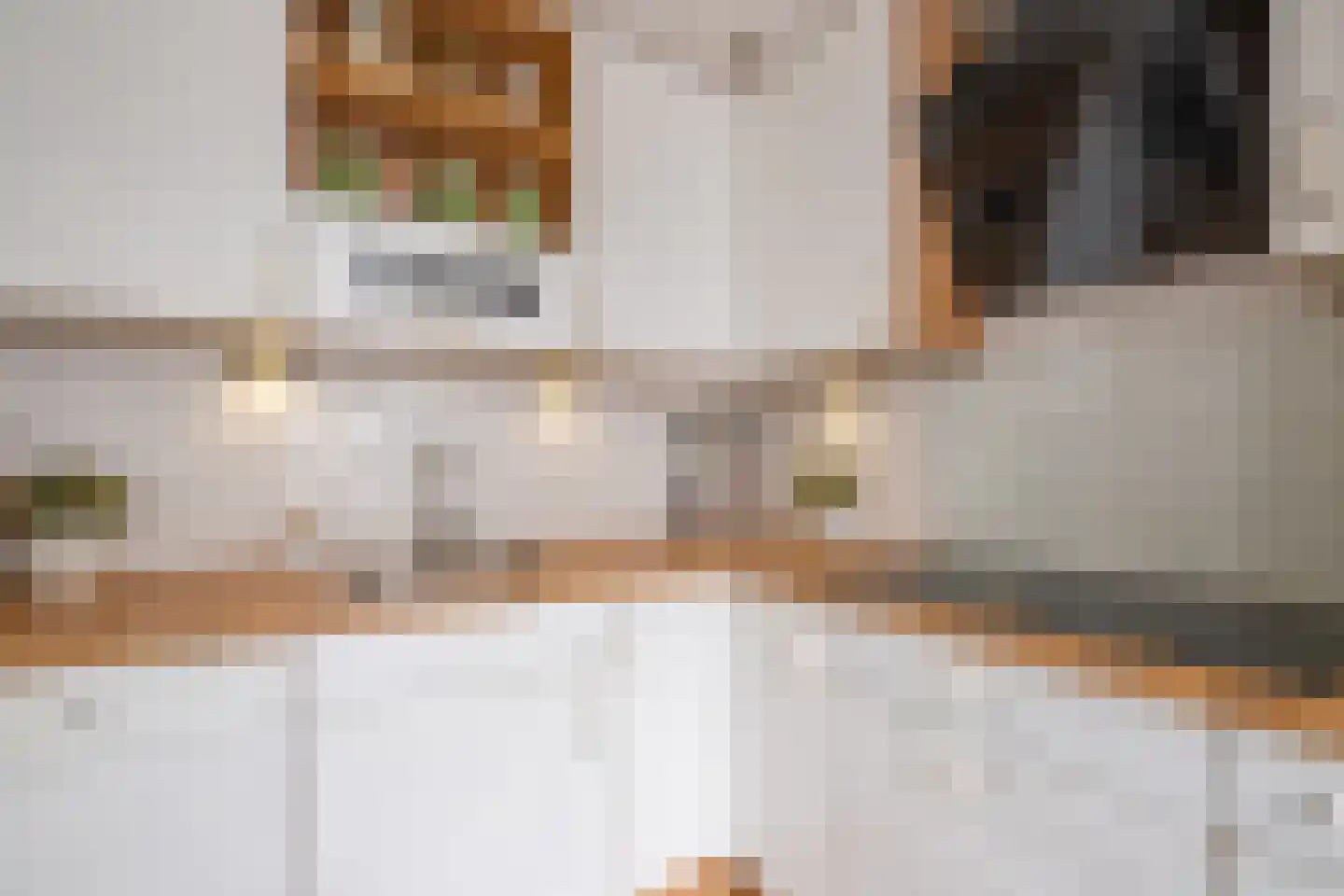 De Palmboomstraat 29 Westzaan thumbnail 5