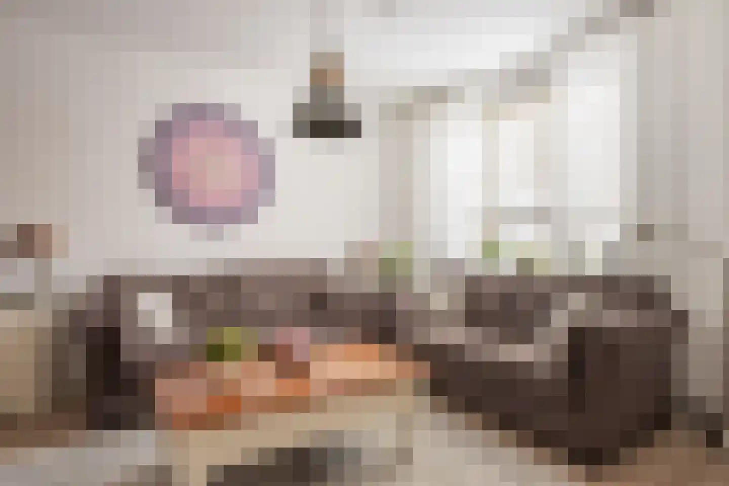 De Palmboomstraat 29 Westzaan thumbnail 7