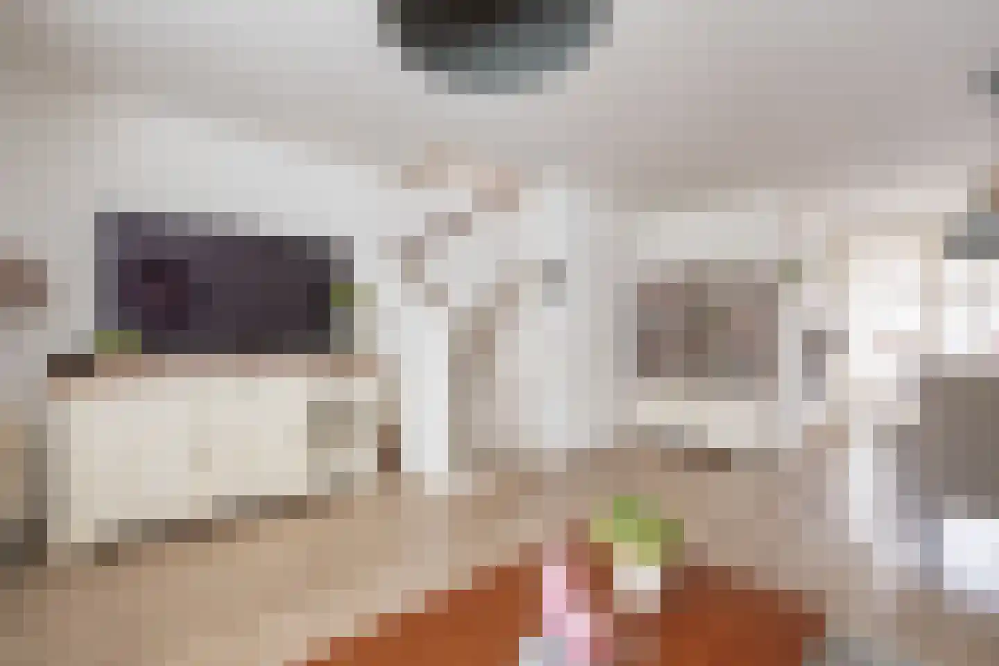 De Palmboomstraat 29 Westzaan thumbnail 8